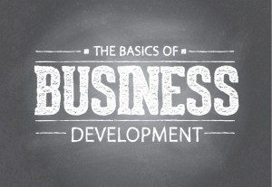 Desarrollo de negocio